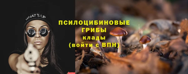 герыч Гусь-Хрустальный